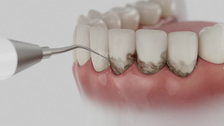 Reliable Dental contractor in Oak Ridge, NC by Dentist Open Now